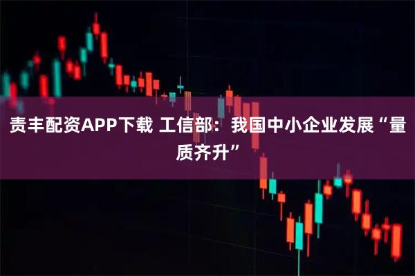 责丰配资APP下载 工信部：我国中小企业发展“量质齐升”