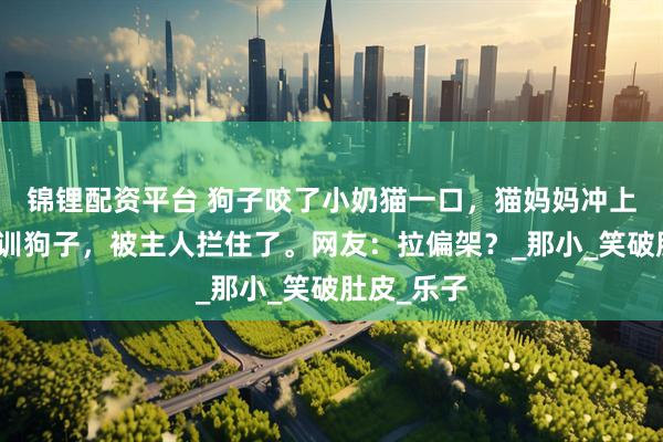 锦锂配资平台 狗子咬了小奶猫一口，猫妈妈冲上去准备教训狗子，被主人拦住了。网友：拉偏架？_那小_笑破肚皮_乐子