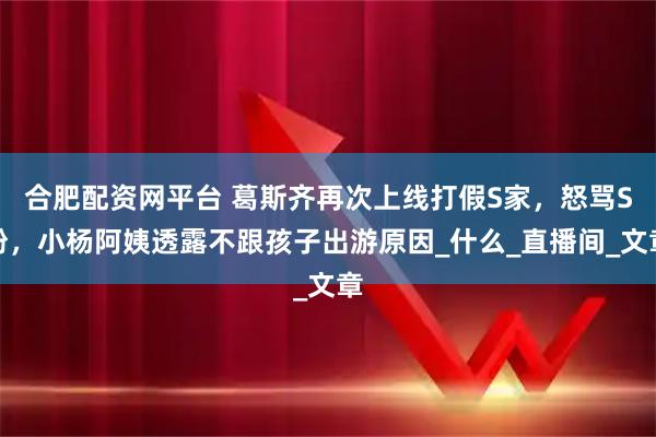 合肥配资网平台 葛斯齐再次上线打假S家，怒骂S粉，小杨阿姨透露不跟孩子出游原因_什么_直播间_文章