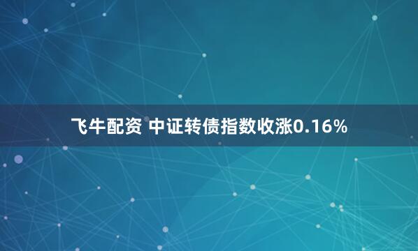 飞牛配资 中证转债指数收涨0.16%